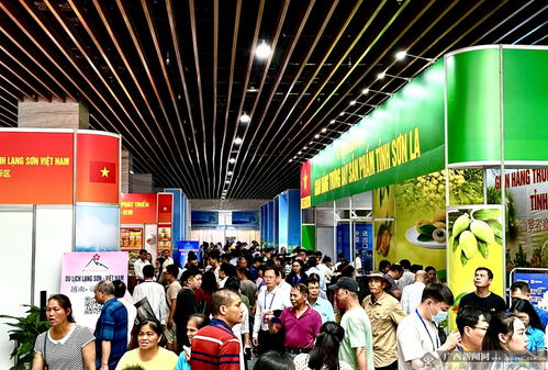 2023年中国—东盟（凭祥）进出口商品交易会盛大开幕 深化区域合作，共绘发展新篇